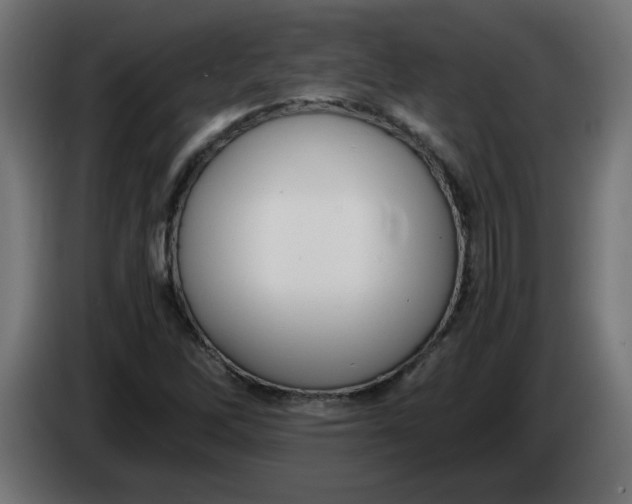 X0000083561262200703021709