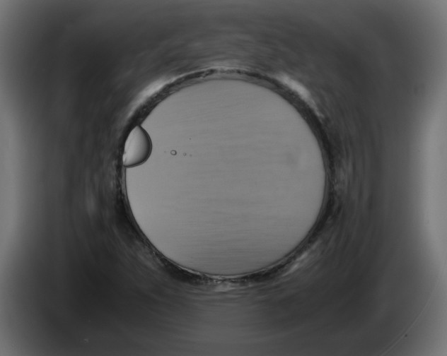 X0000083561263200703021709