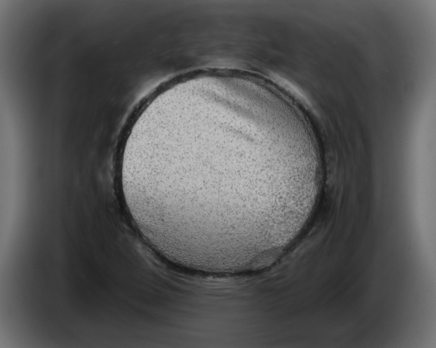 X0000083561264200703021709