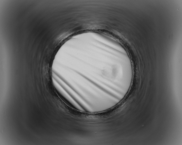 X0000083561265200703021709