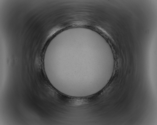 X0000083561266200703021709