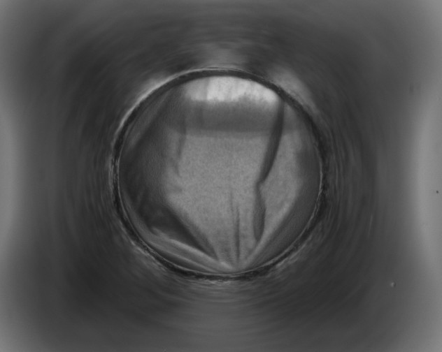 X0000083561268200703021708