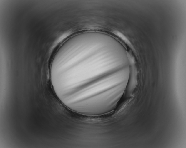 X0000083561269200703021708