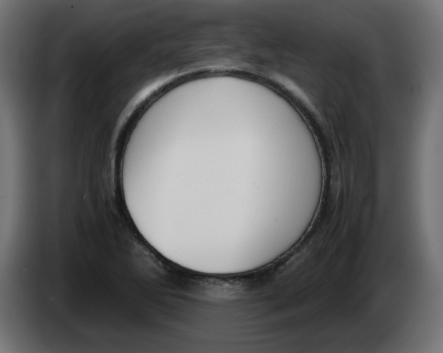 X0000083561270200703021708