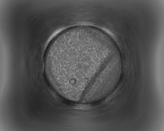 X0000083561271200703021708