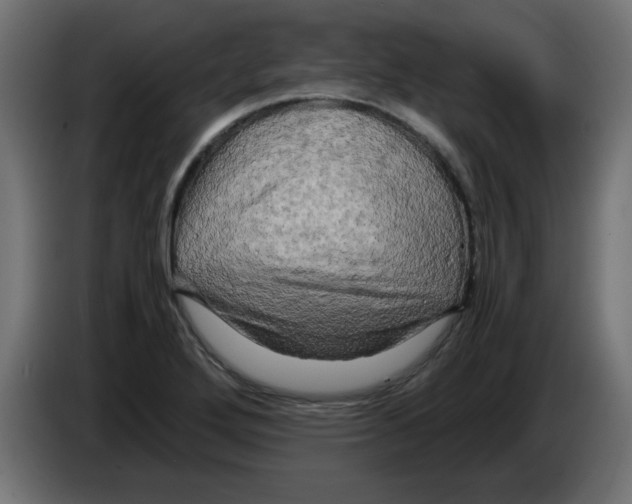 X0000083561272200703021708