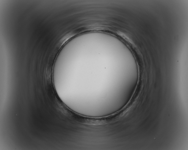 X0000083561273200703021708