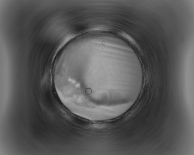 X0000083561274200703021708