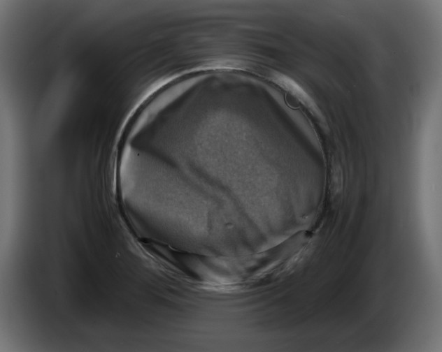 X0000083561276200703021708