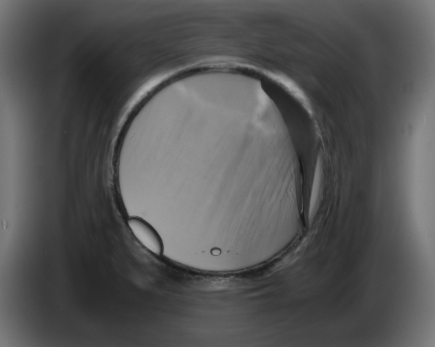 X0000083561279200703021708