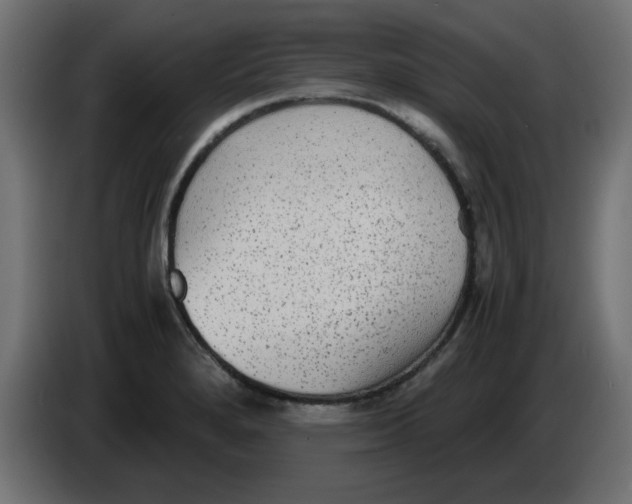 X0000083561280200703021708