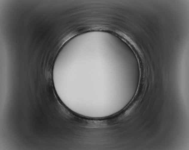 X0000083561281200703021708