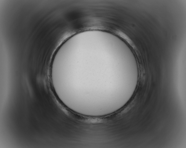 X0000083561282200703021708