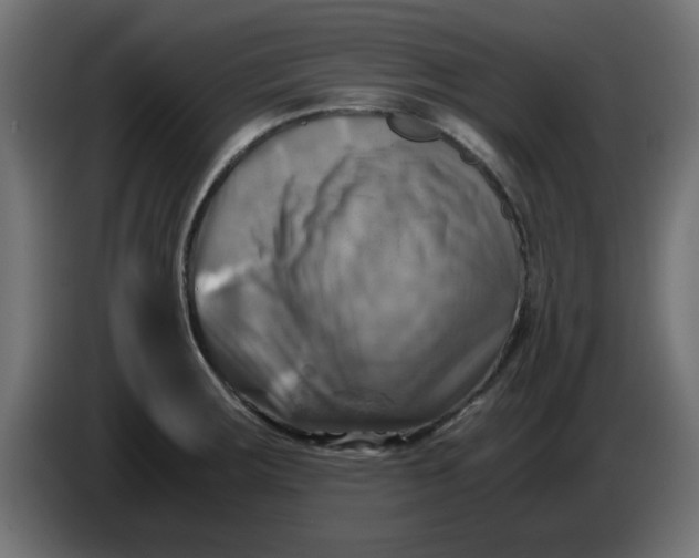 X0000083561283200703021708