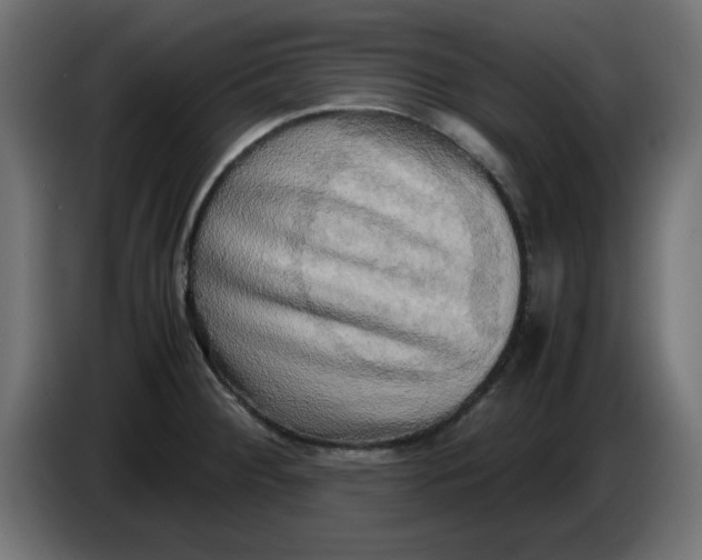 X0000083561284200703021708