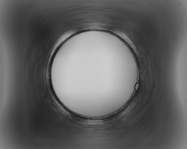 X0000083561285200703021708