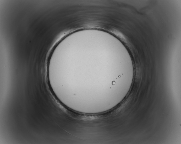 X0000083561286200703021708