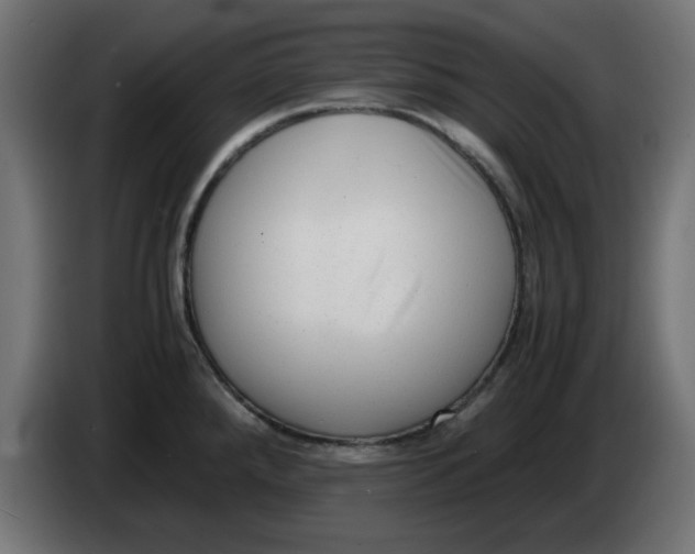 X0000083561288200703021708