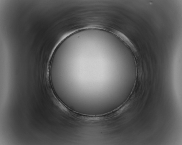 X0000083561292200703021708