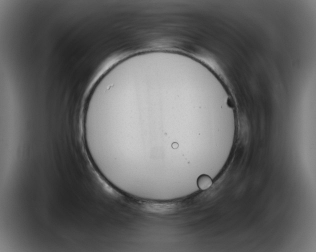 X0000083561294200703021708