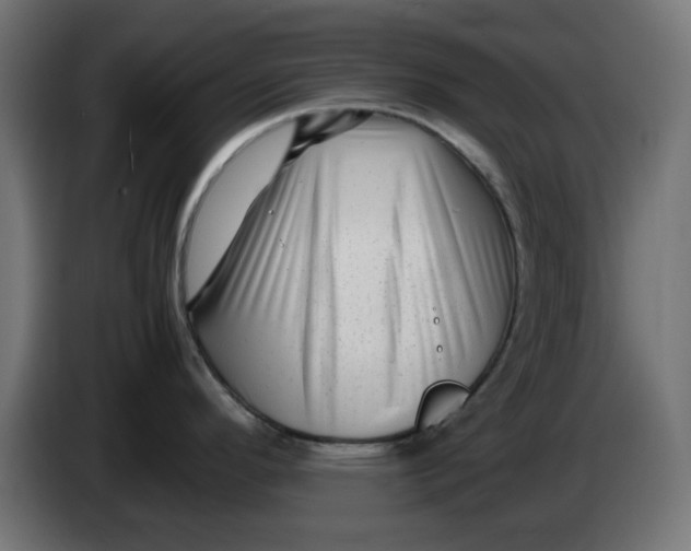 X0000083561296200703021708