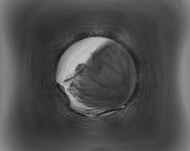 X0000083561297200703021707