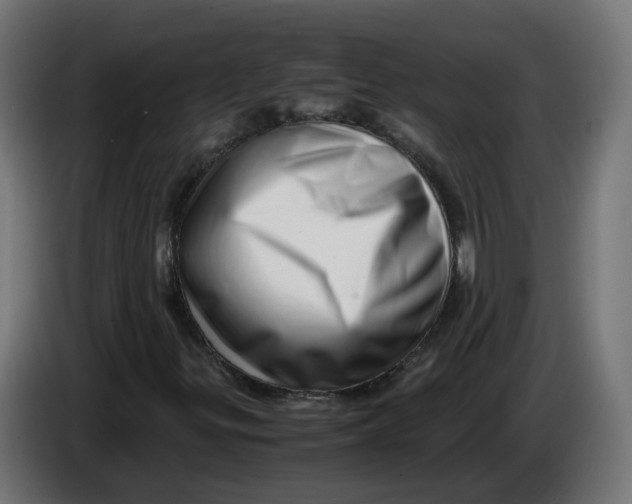 X0000083561299200703021707