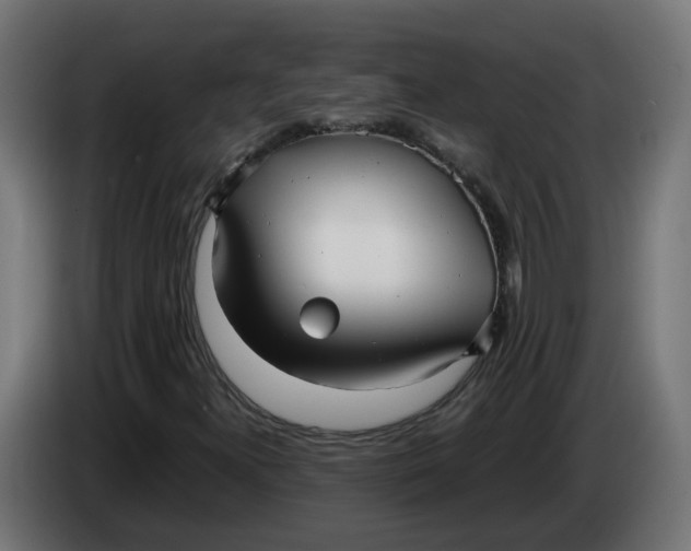 X0000083561300200703021707