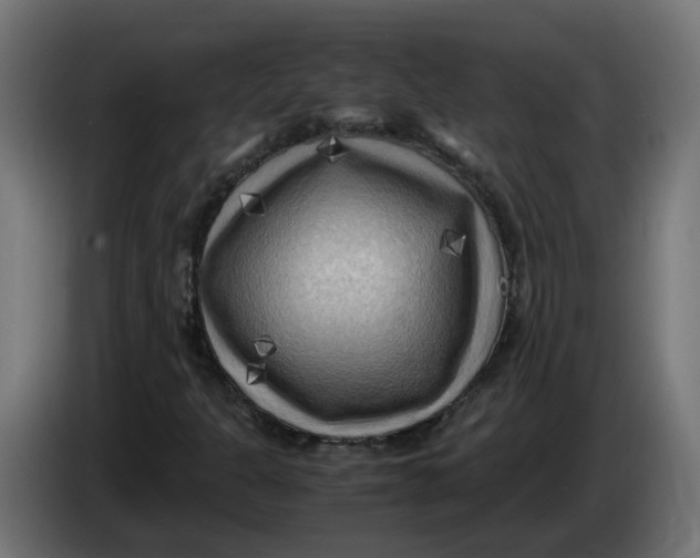 X0000083561301200703021707