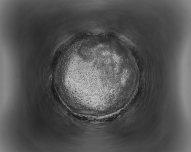 X0000083561302200703021707