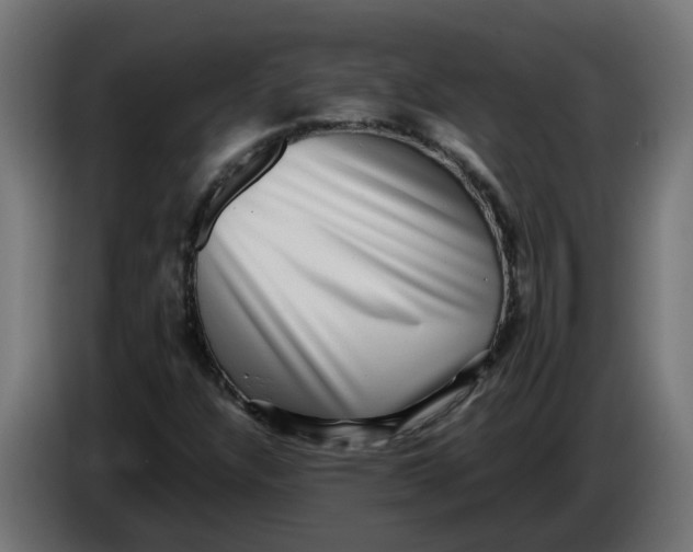 X0000083561304200703021707