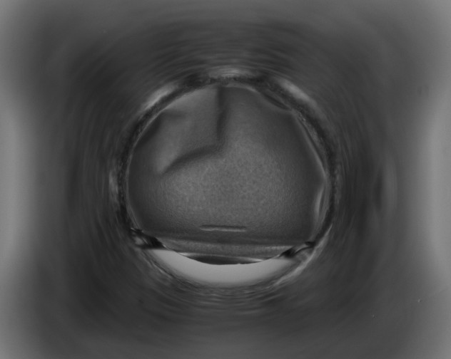 X0000083561305200703021707