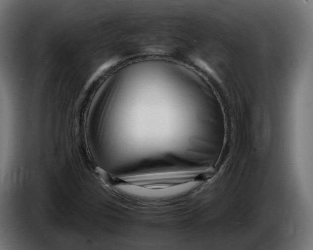 X0000083561307200703021707