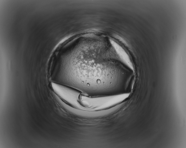 X0000083561308200703021707