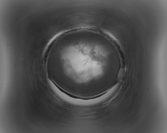 X0000083561310200703021707