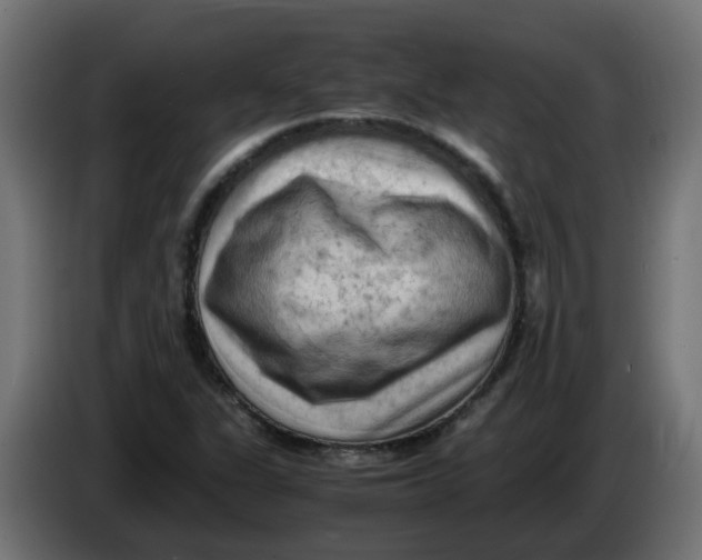 X0000083561311200703021707