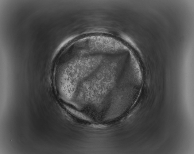 X0000083561312200703021707