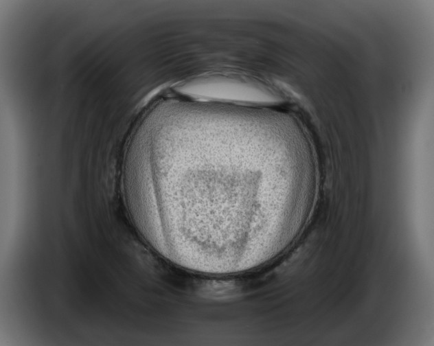 X0000083561313200703021707