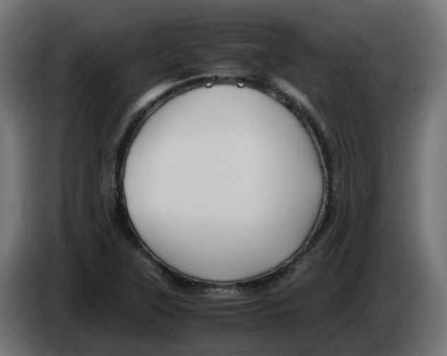 X0000083561315200703021707