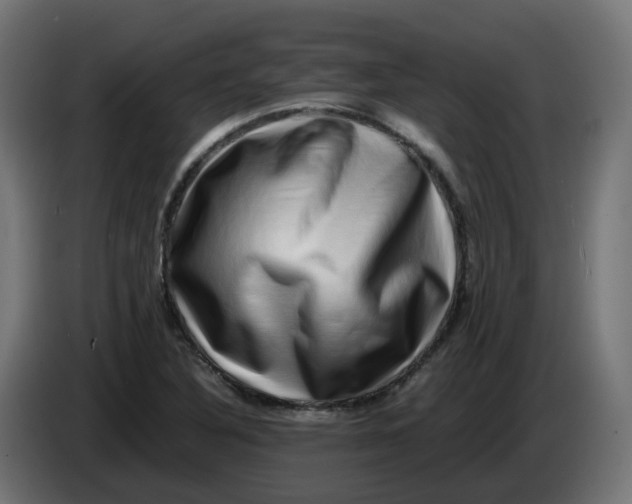 X0000083561316200703021707