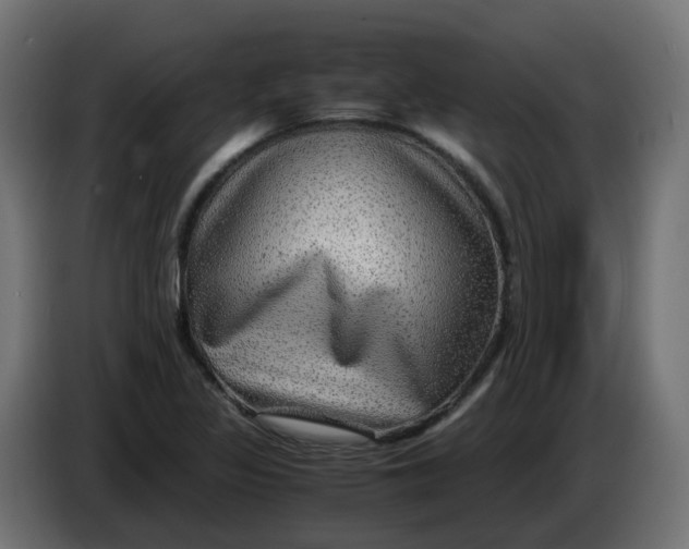 X0000083561317200703021707