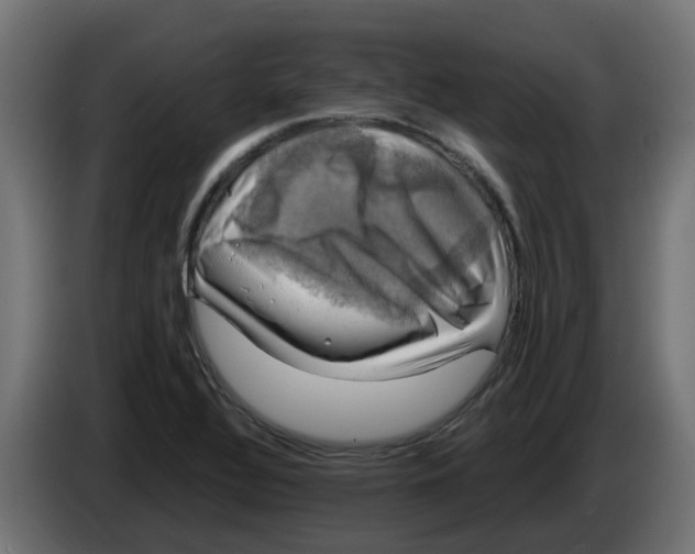 X0000083561320200703021708