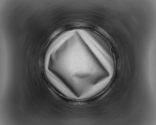 X0000083561321200703021708