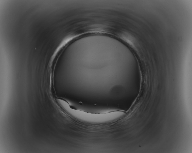 X0000083561323200703021708