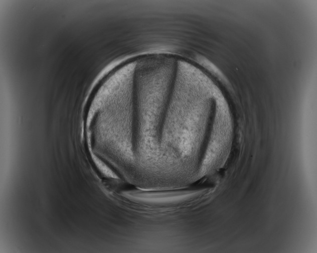 X0000083561324200703021708