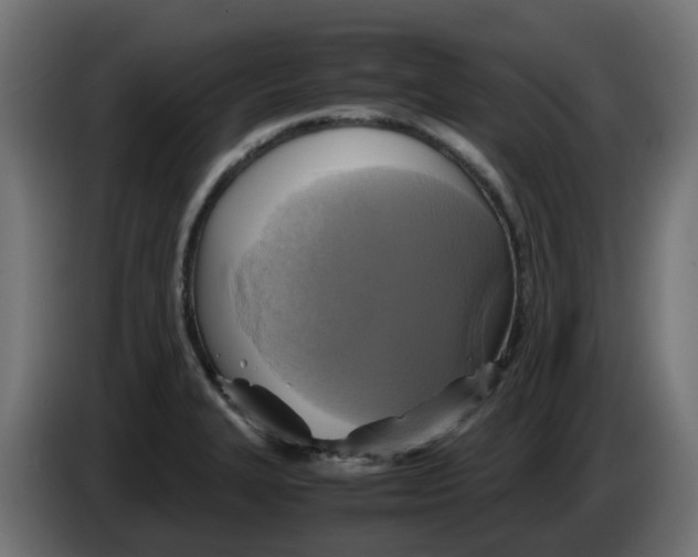 X0000083561327200703021708