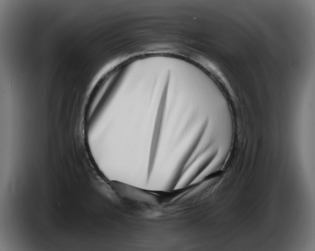 X0000083561328200703021708