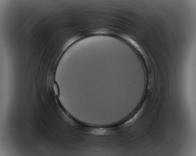 X0000083561329200703021708