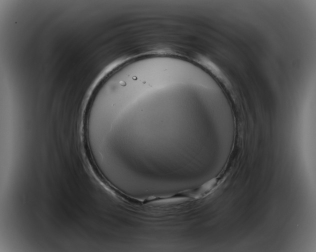 X0000083561331200703021708