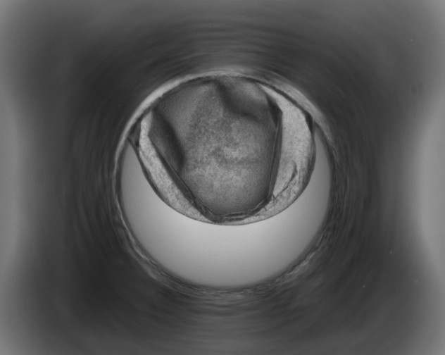 X0000083561332200703021708